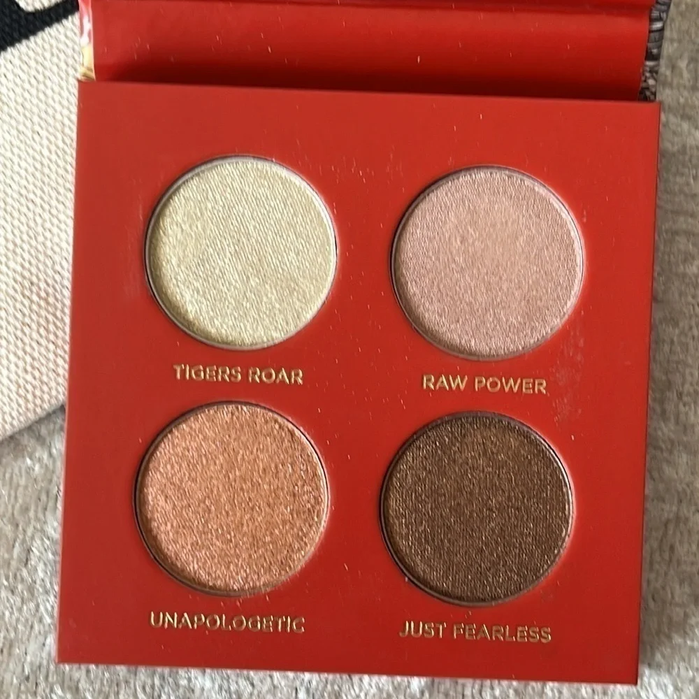Brand New UD Eyeshadow Anastasia BH Blush Estée Lauder Mascara Lorac Lip in Bag